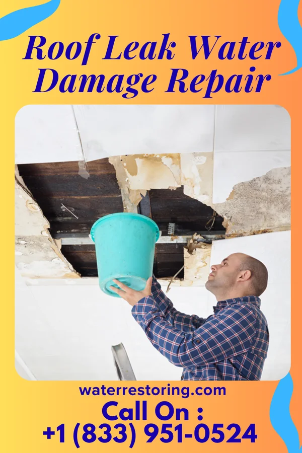 Roof Leak Water Damage Repair in Kenmare, ND